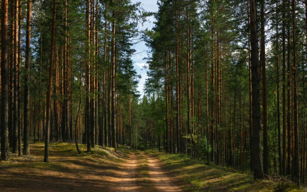Самые красивые места Вологодской области: что обязательно стоит увидеть